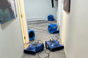 Burst pipe drying carpet