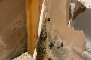mold three