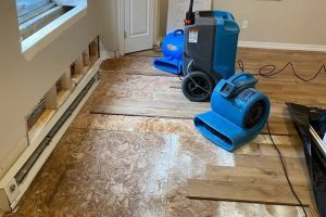 water damage copy